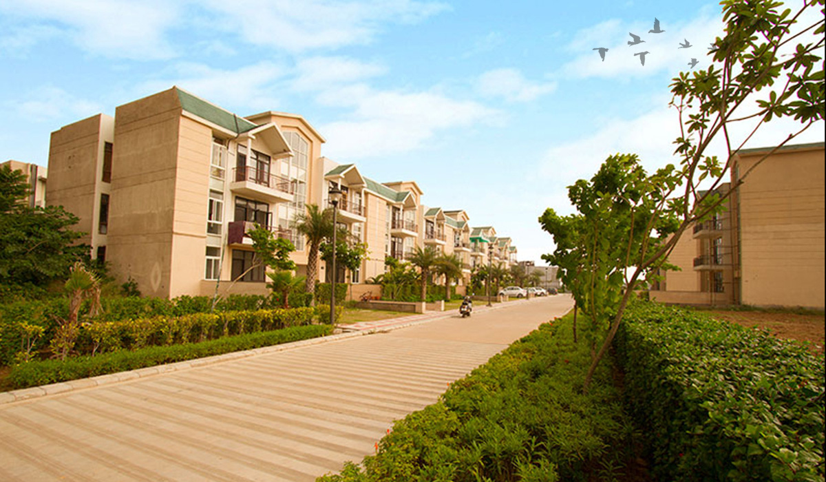Dhiiraaya Realty