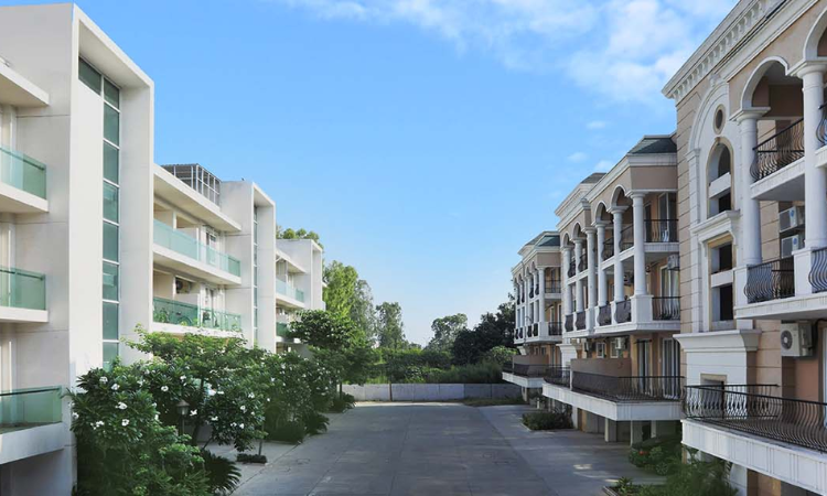 Dhiiraaya Realty