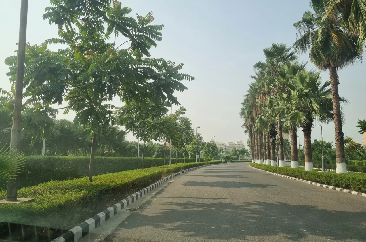 Dhiiraaya Realty