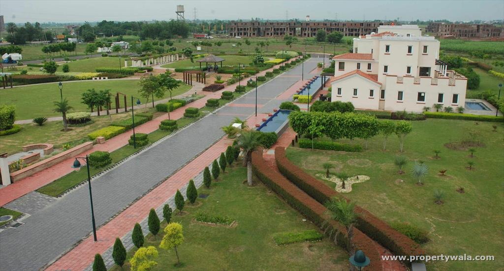 Dhiiraaya Realty